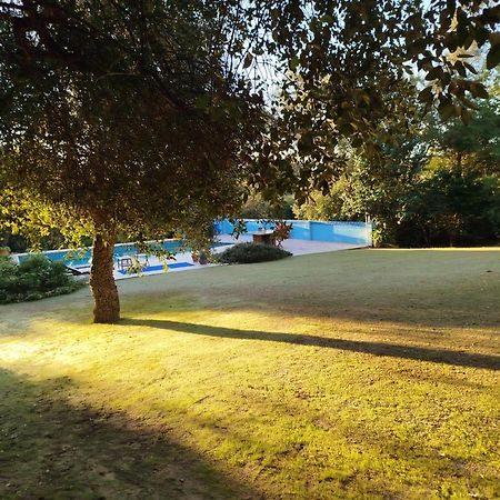 Sotogrande. Estancia Privada En Plena Naturaleza エクステリア 写真