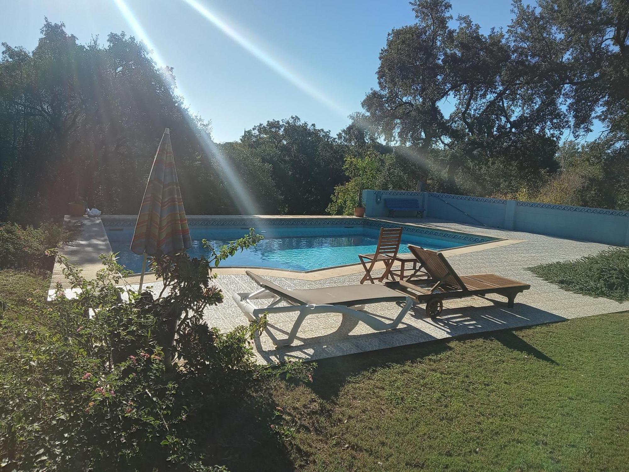 Sotogrande. Estancia Privada En Plena Naturaleza エクステリア 写真