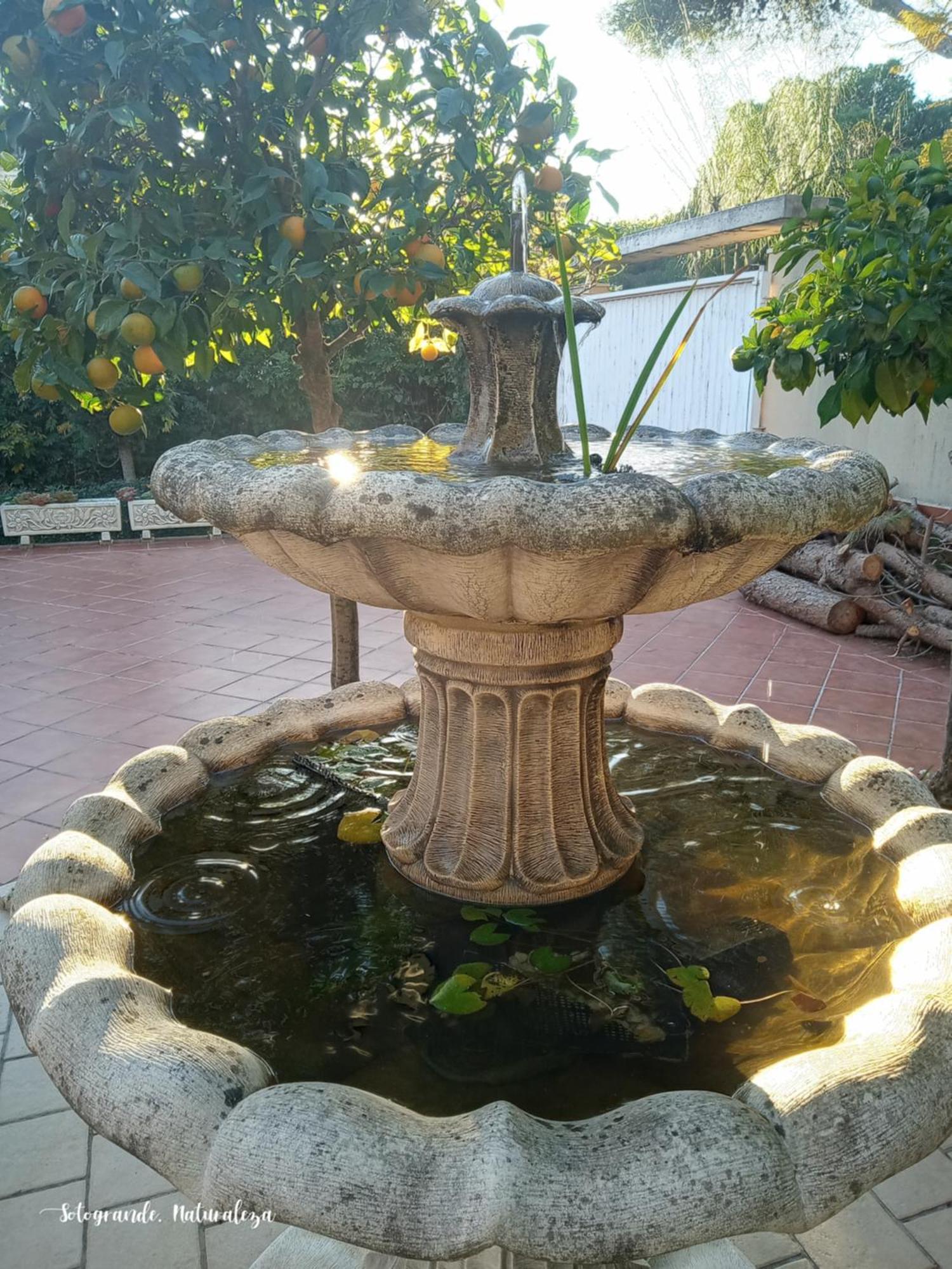Sotogrande. Estancia Privada En Plena Naturaleza エクステリア 写真