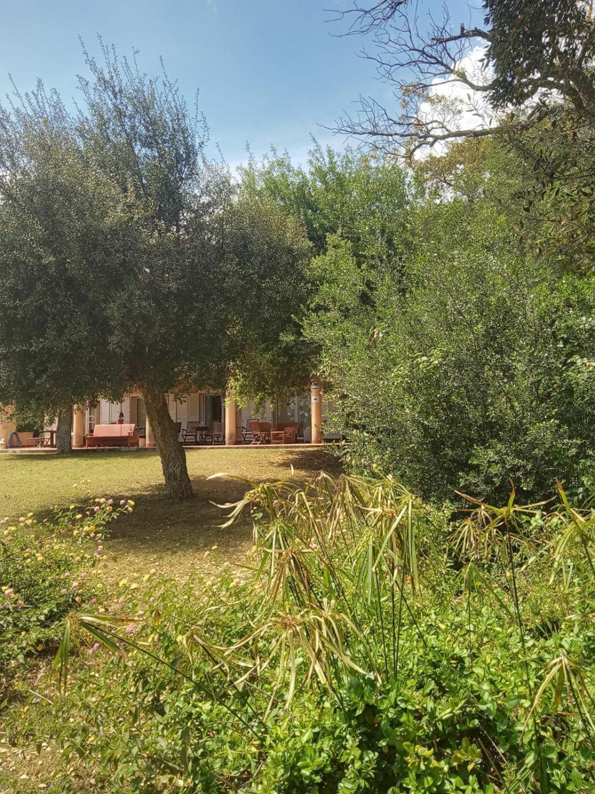 Sotogrande. Estancia Privada En Plena Naturaleza エクステリア 写真