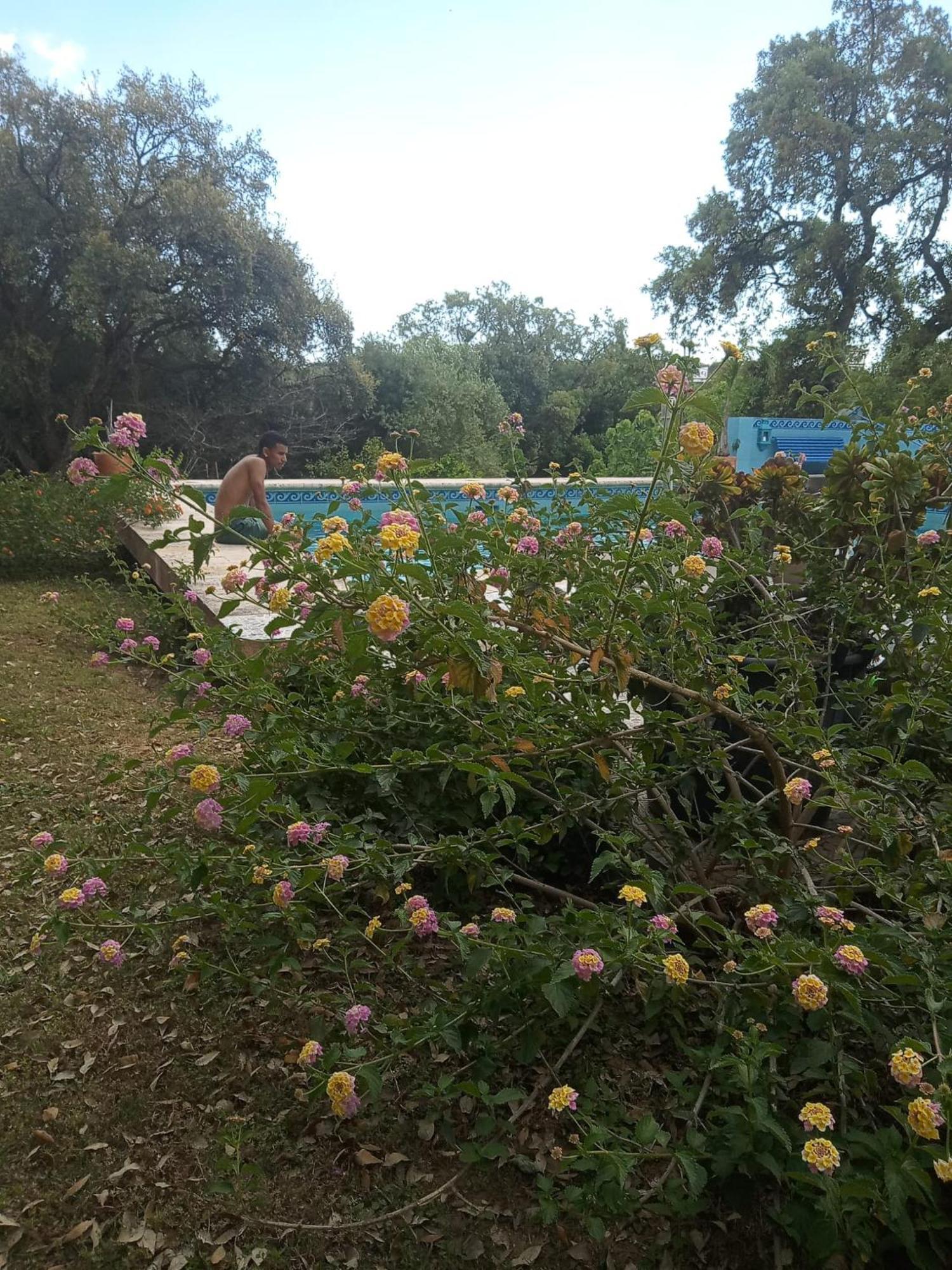 Sotogrande. Estancia Privada En Plena Naturaleza エクステリア 写真