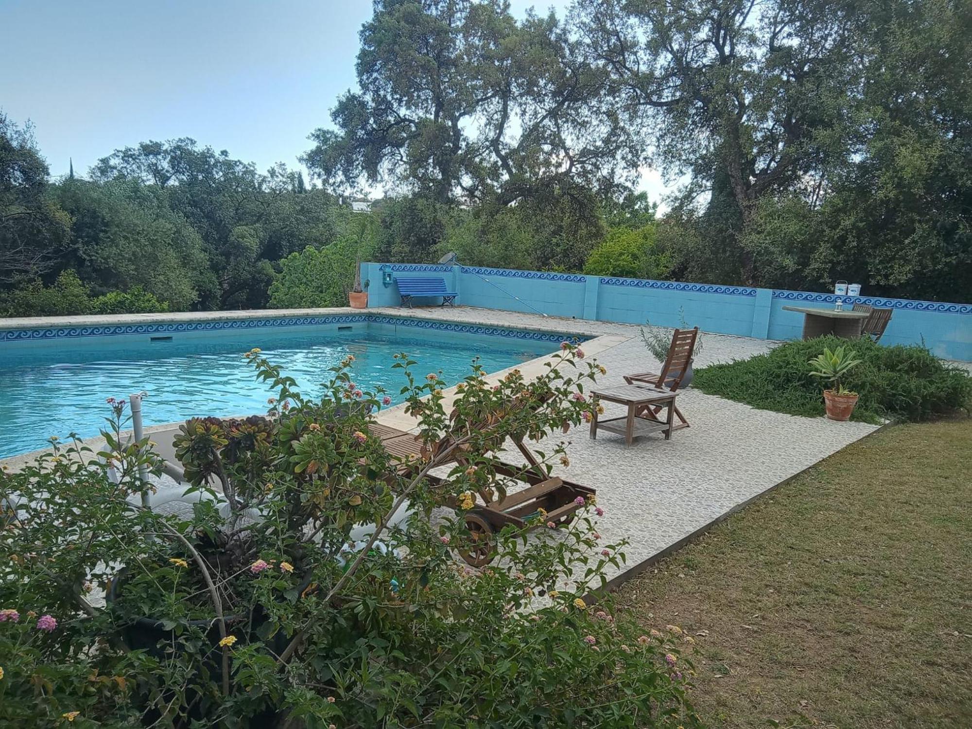 Sotogrande. Estancia Privada En Plena Naturaleza エクステリア 写真