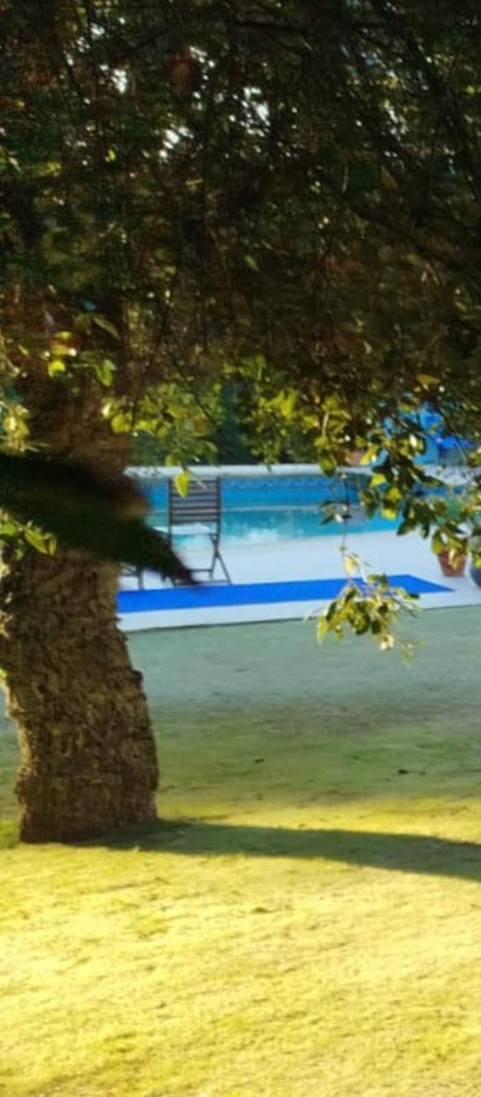 Sotogrande. Estancia Privada En Plena Naturaleza エクステリア 写真
