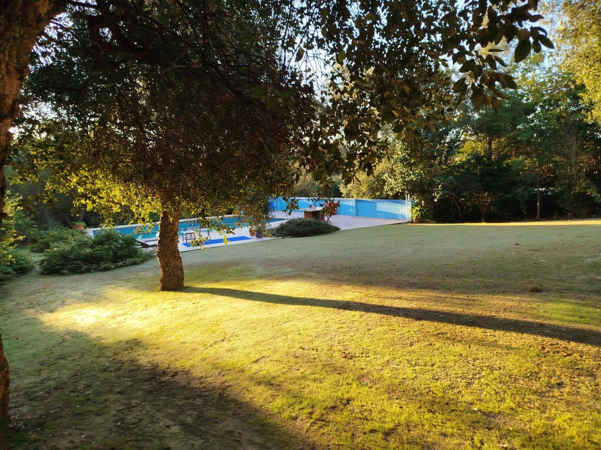 Sotogrande. Estancia Privada En Plena Naturaleza エクステリア 写真